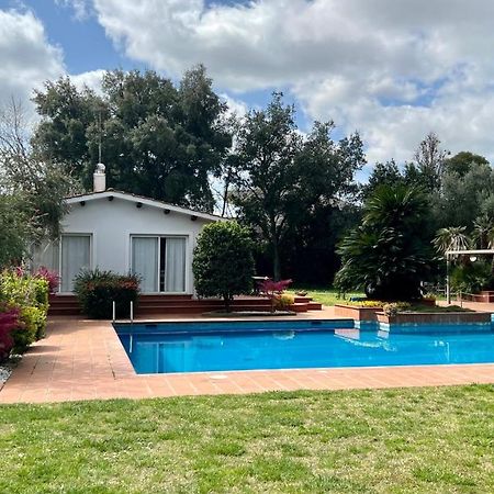 Villette Aldobrandeschi Urban Oasis Vacation Homes Roma Eksteriør bilde